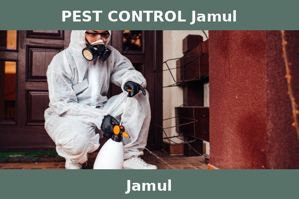 PEST CONTROL Jamul